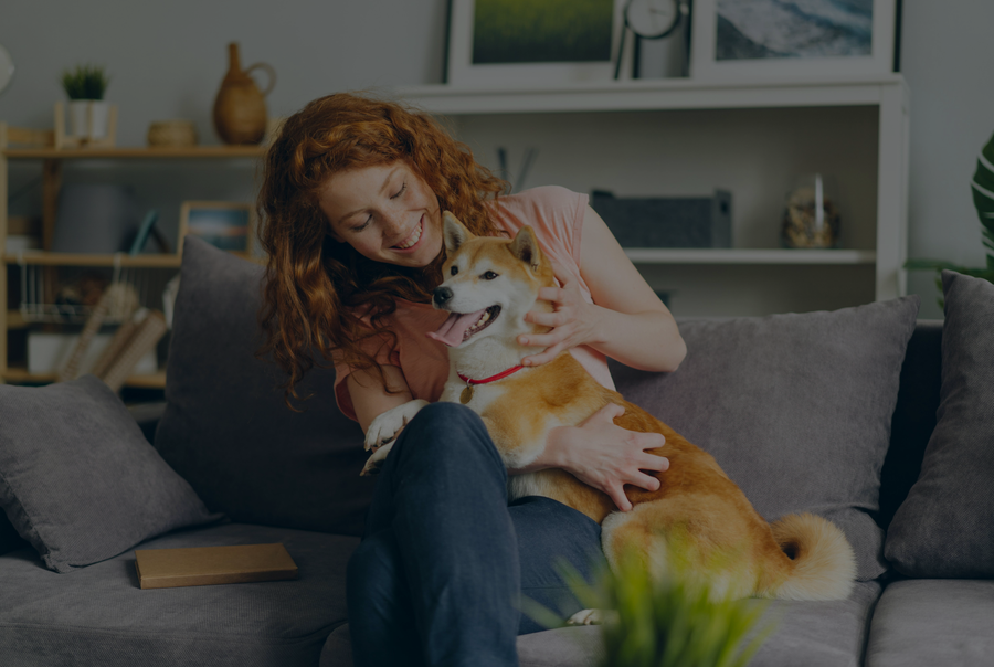 Smart Pet Essentials