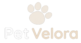 Velora Premium Products and Services