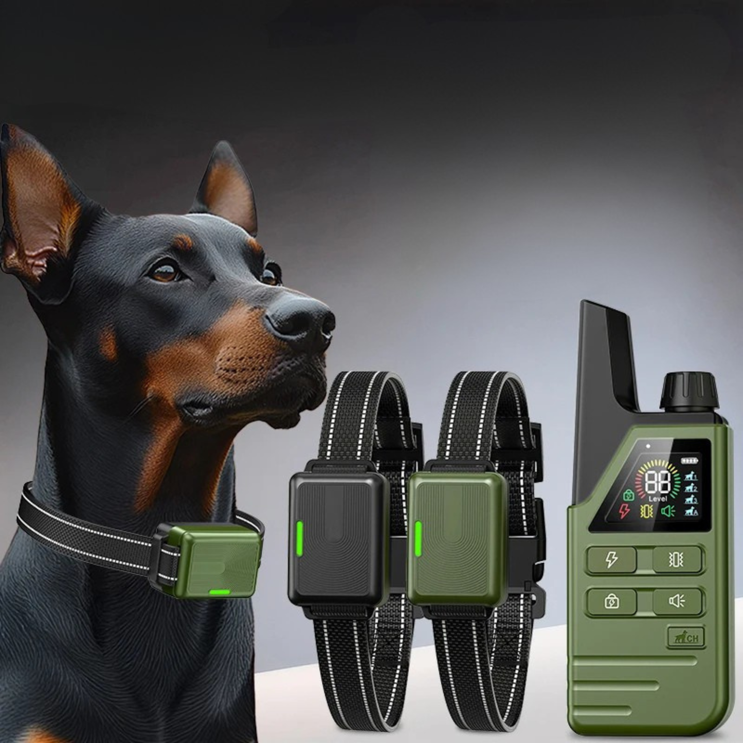 Remote Control Dog Collar