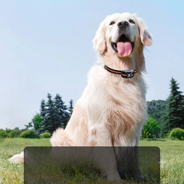 Smart Dog Training Collar