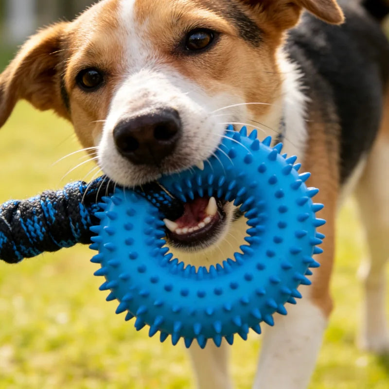 Spiked Ring Tug Dog Toy