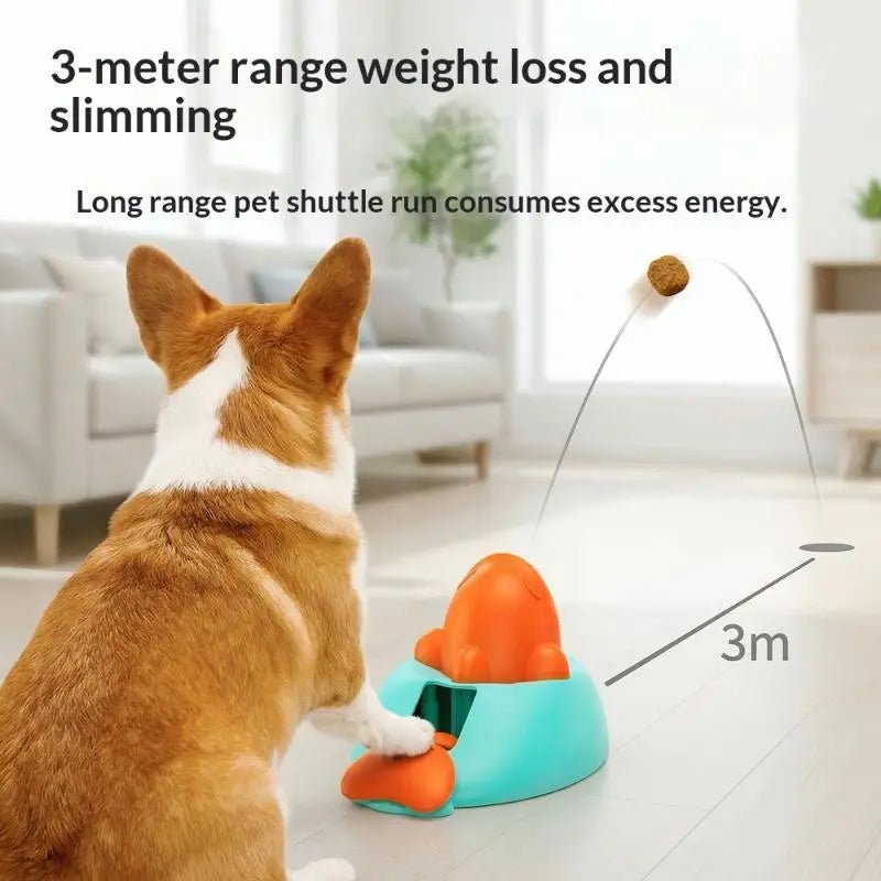 Puzzle Feeding Training Toy