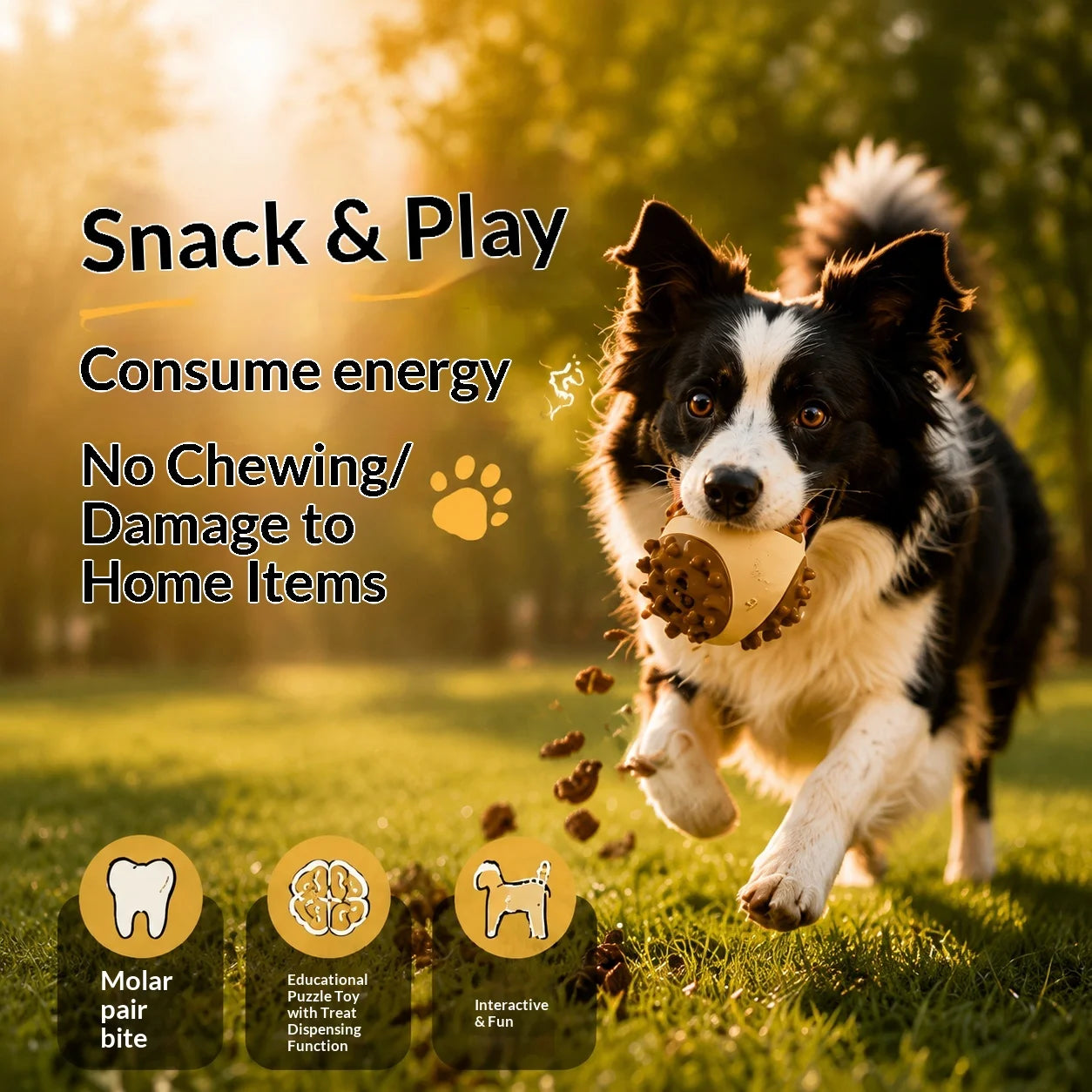 Dog Food Dispensing Ball