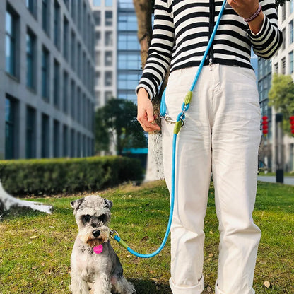 Reflective Dog Walking Leash