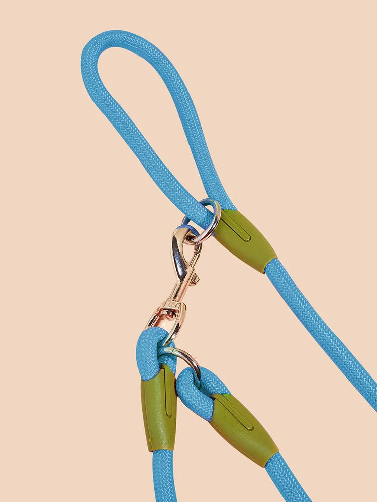 Reflective Dog Walking Leash