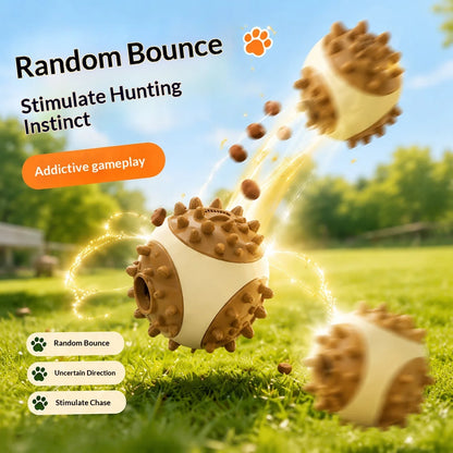 Dog Food Dispensing Ball