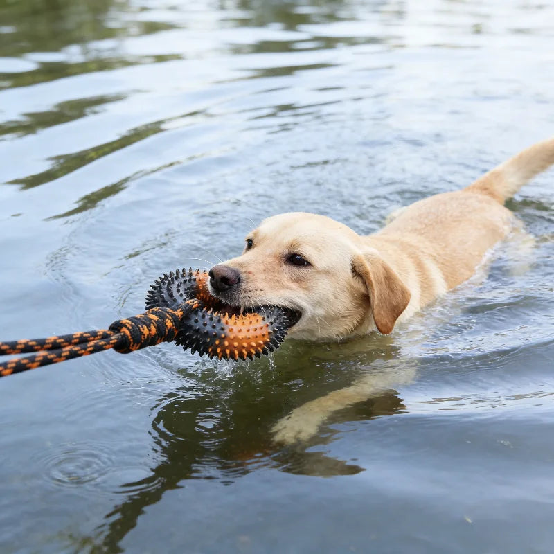 Spiked Ring Tug Dog Toy
