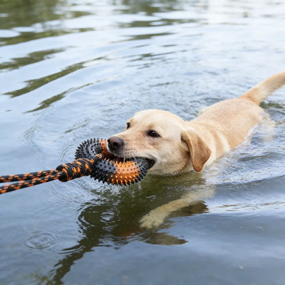 Spiked Ring Tug Dog Toy