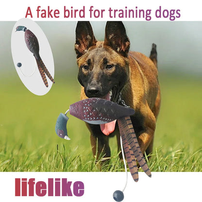 Duck Retrieval Training Toy
