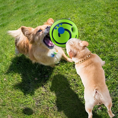 Title  Squeaky Giggle Wobble Ball