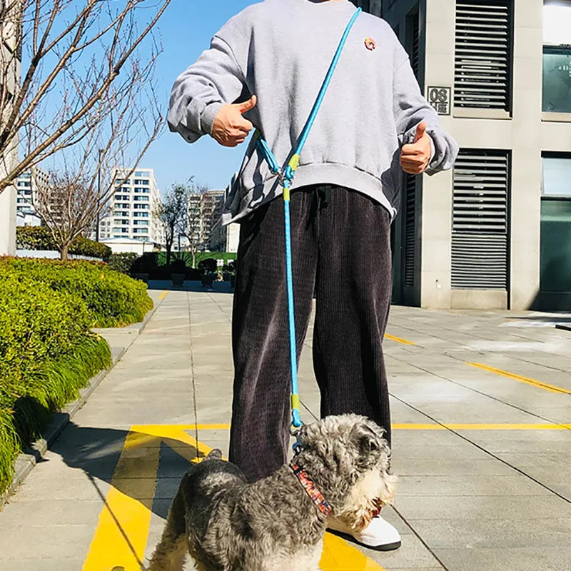 Reflective Dog Walking Leash