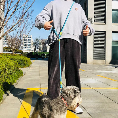 Reflective Dog Walking Leash