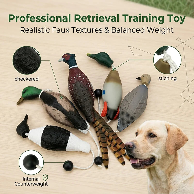 Duck Retrieval Training Toy