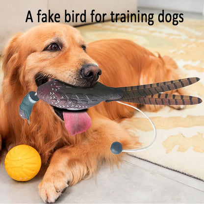 Duck Retrieval Training Toy