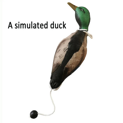 Duck Retrieval Training Toy