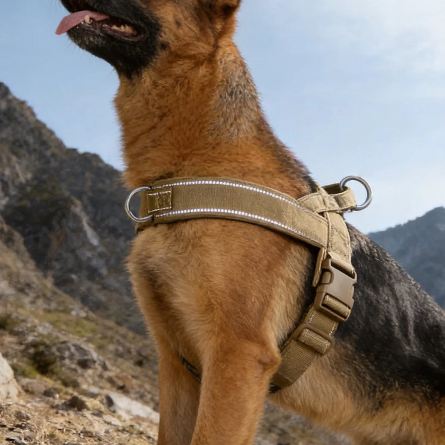 Adjustable Control Dog Harness
