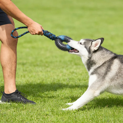 Spiked Ring Tug Dog Toy