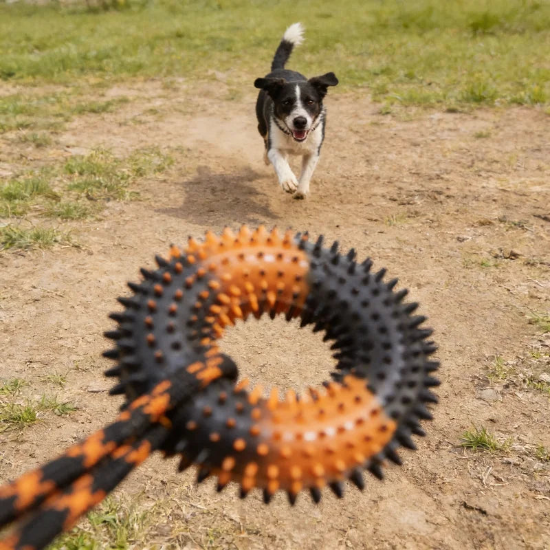 Spiked Ring Tug Dog Toy
