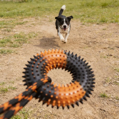 Spiked Ring Tug Dog Toy
