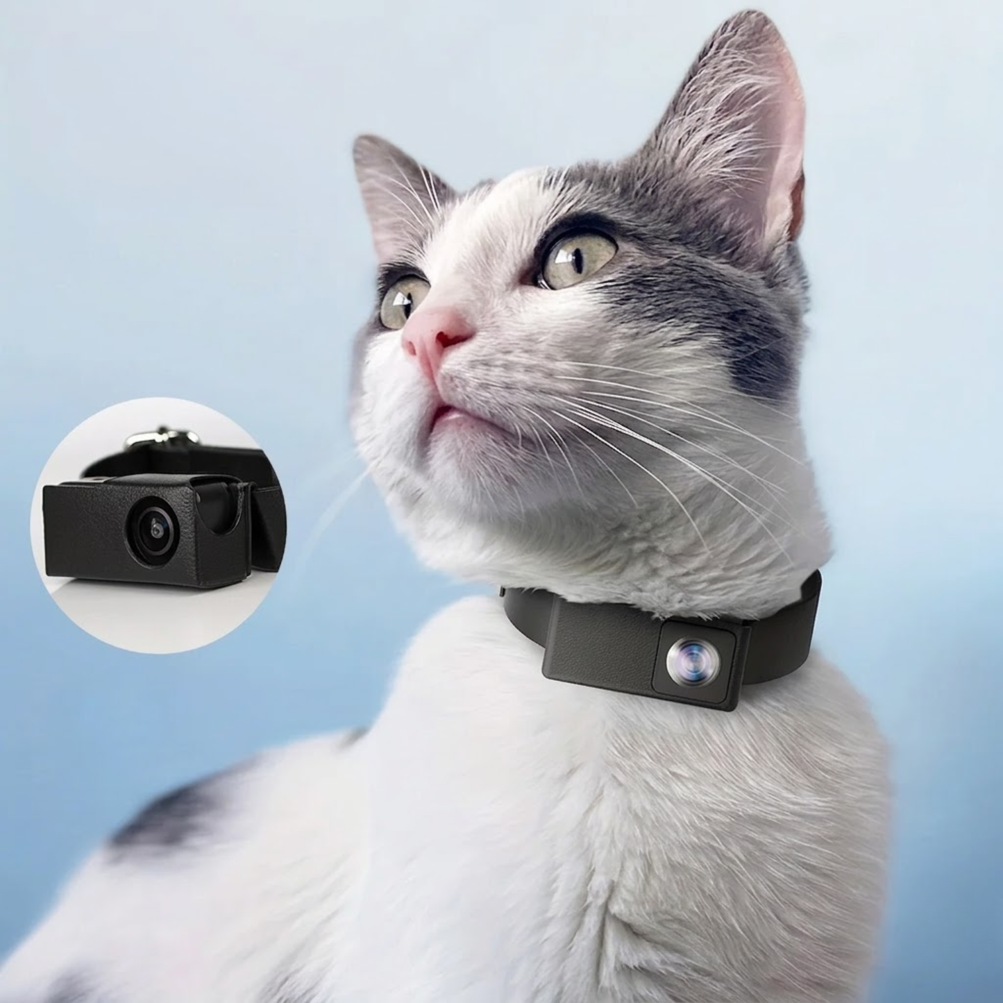 HD Pet Collar Camera